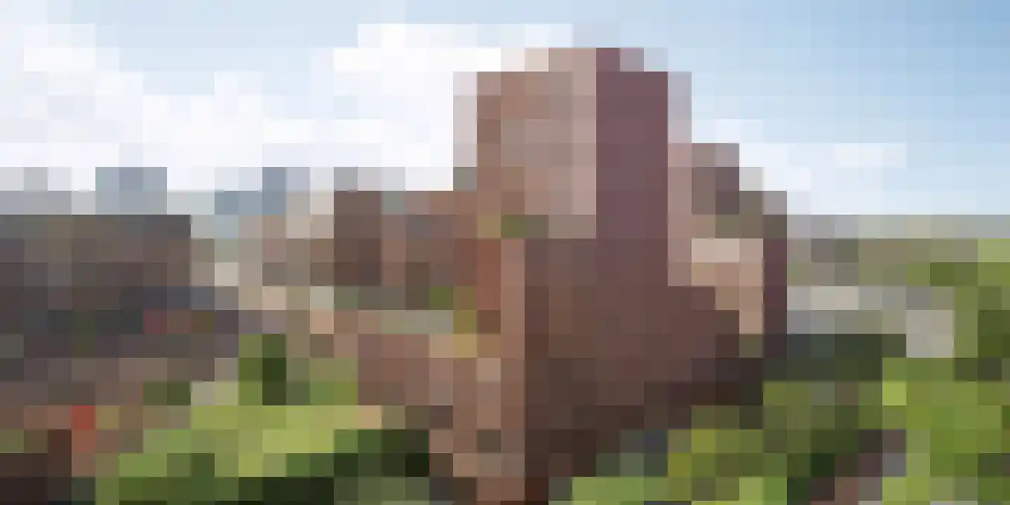 Smakkelaarsveld 399 Utrecht thumbnail 5