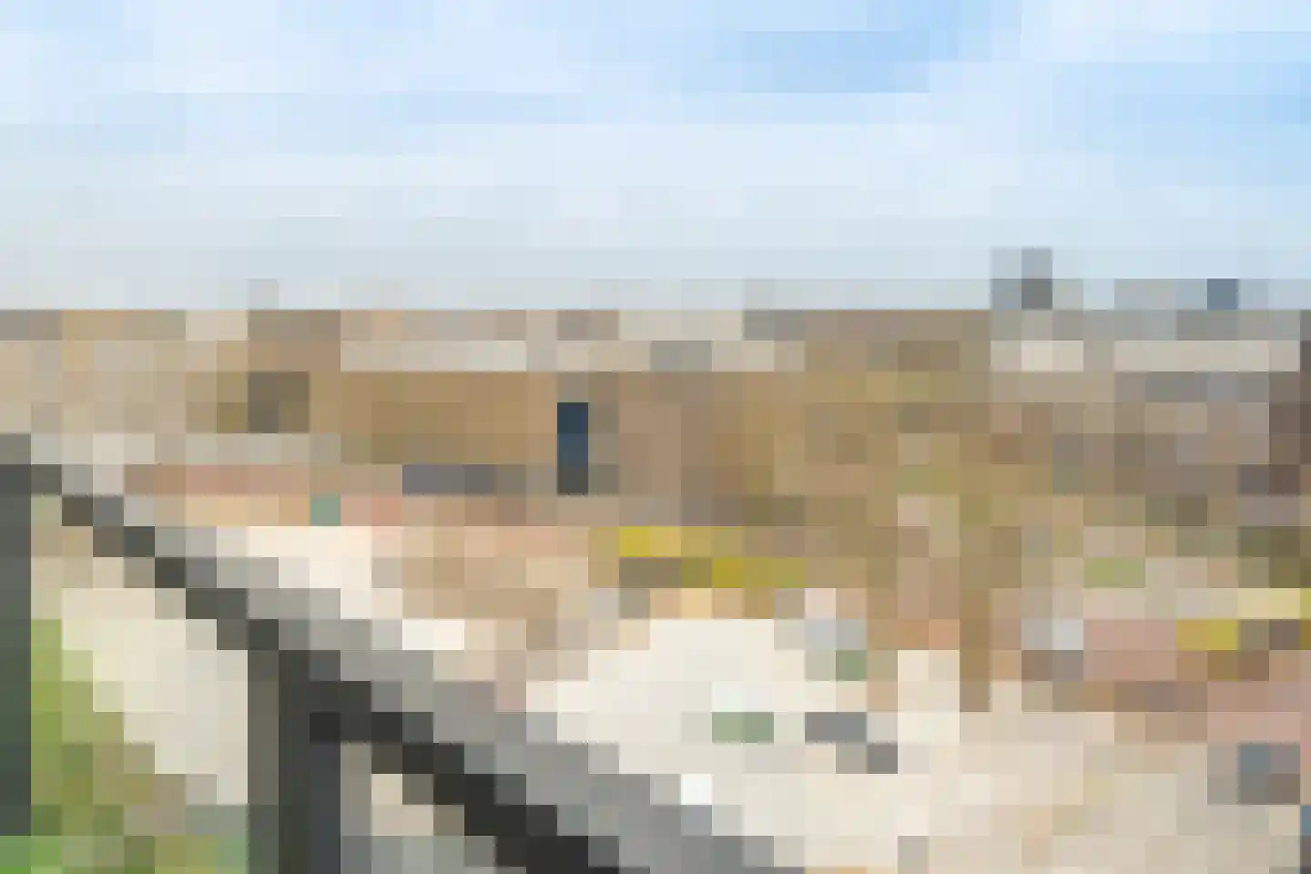 Smakkelaarsveld 45 Utrecht thumbnail 39