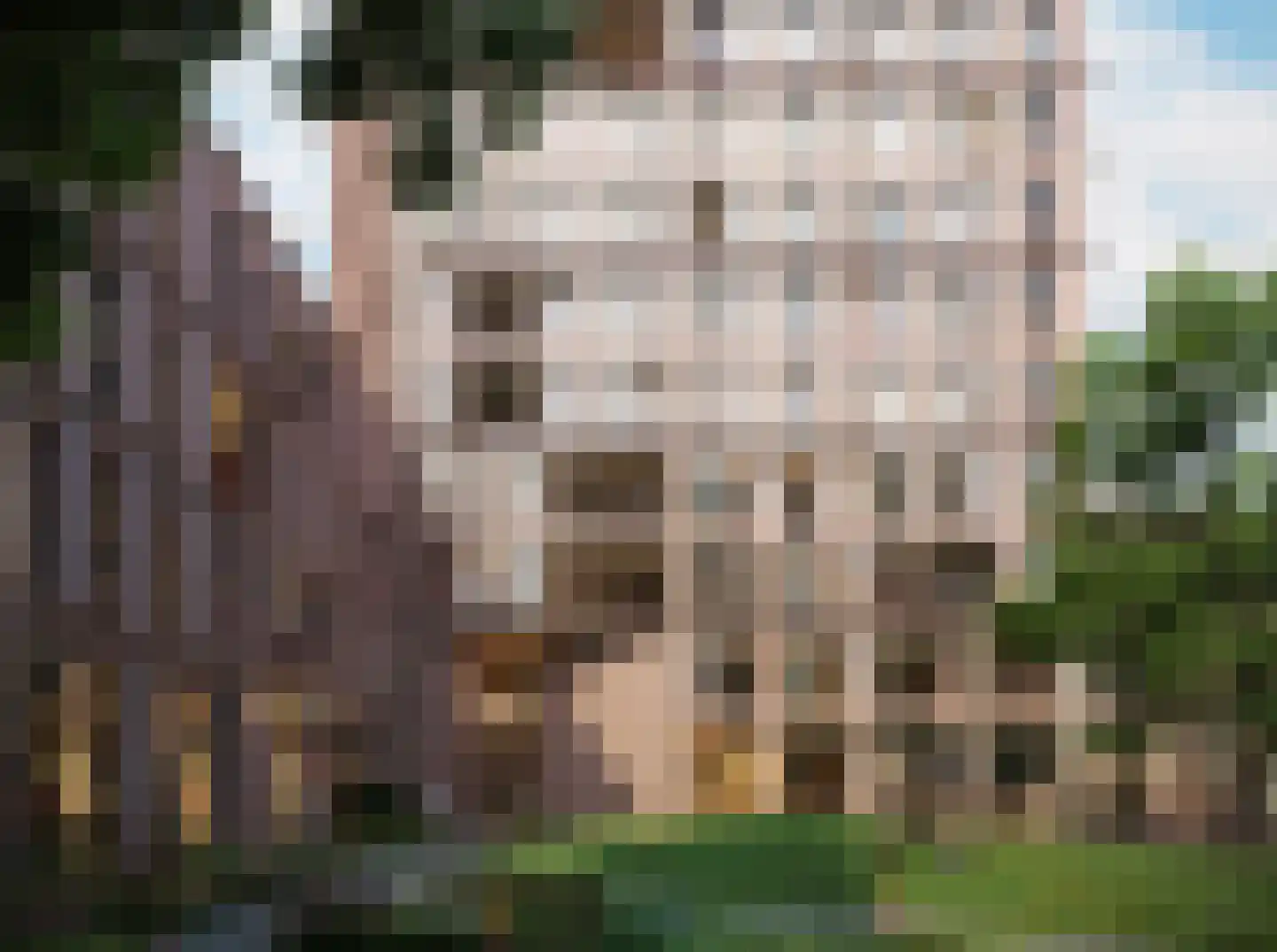Smakkelaarsveld 459 Utrecht thumbnail 4