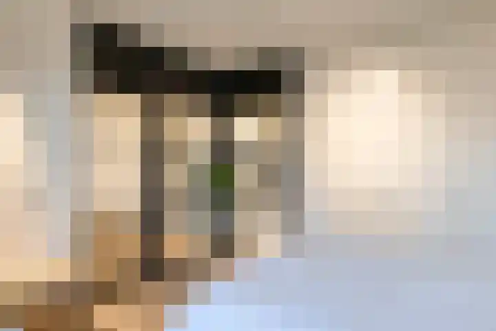 Smakkelaarsveld 61 Utrecht thumbnail 14