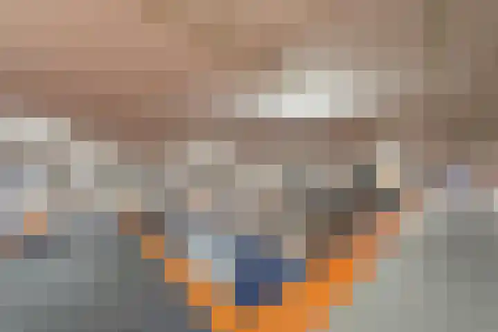 Smakkelaarsveld 61 Utrecht thumbnail 18