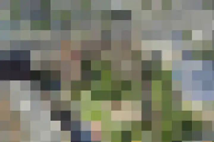 Smakkelaarsveld 61 Utrecht thumbnail 20