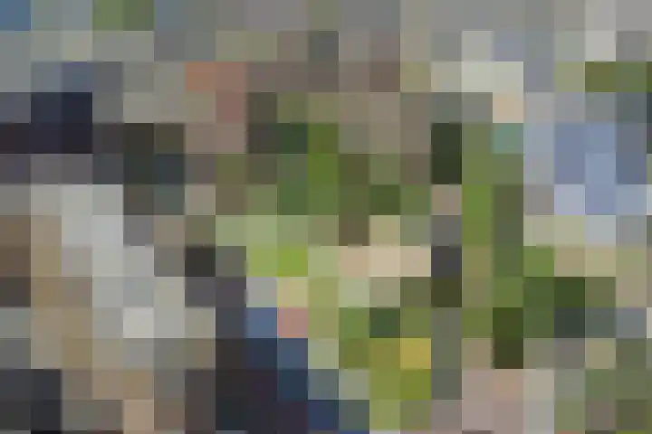 Smakkelaarsveld 61 Utrecht thumbnail 21