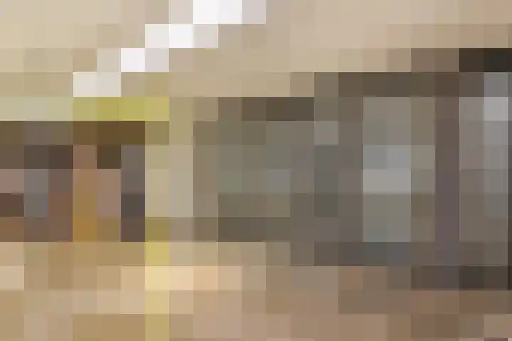 Smakkelaarsveld 61 Utrecht thumbnail 5