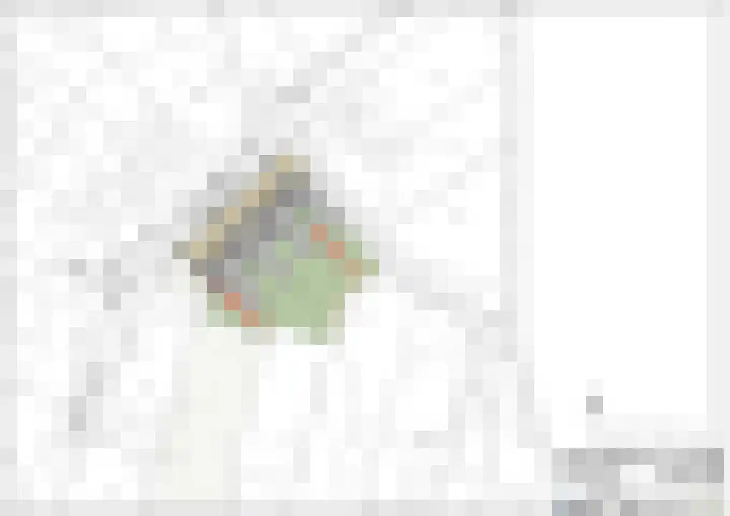 Smakterveldweg 2 E Venray thumbnail 5