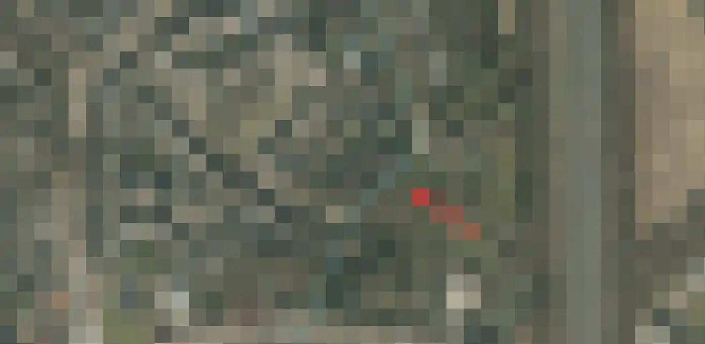 Smakterveldweg 2 E Venray thumbnail 6