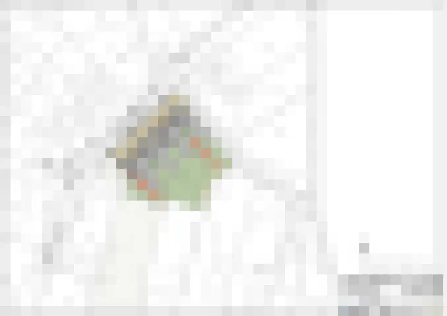 Smakterveldweg 2 F Venray thumbnail 5