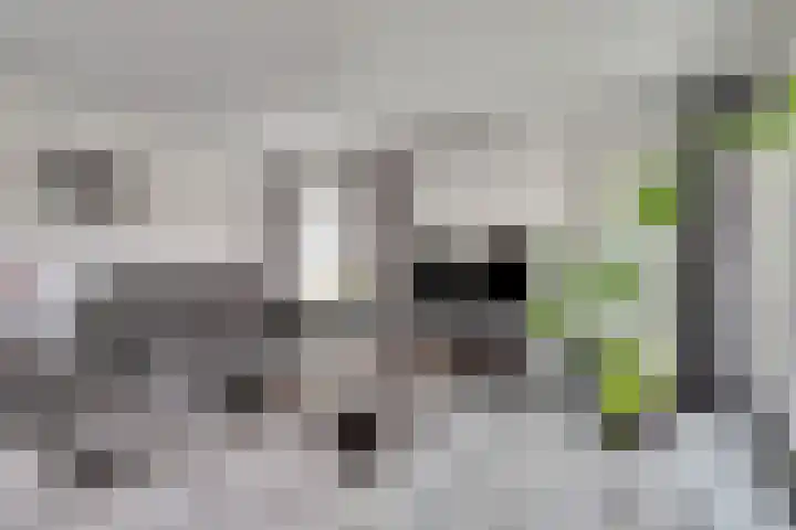 Smakterweg 9 A Venray thumbnail 9