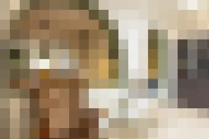 Smal Weide 1 Eygelshoven thumbnail 14