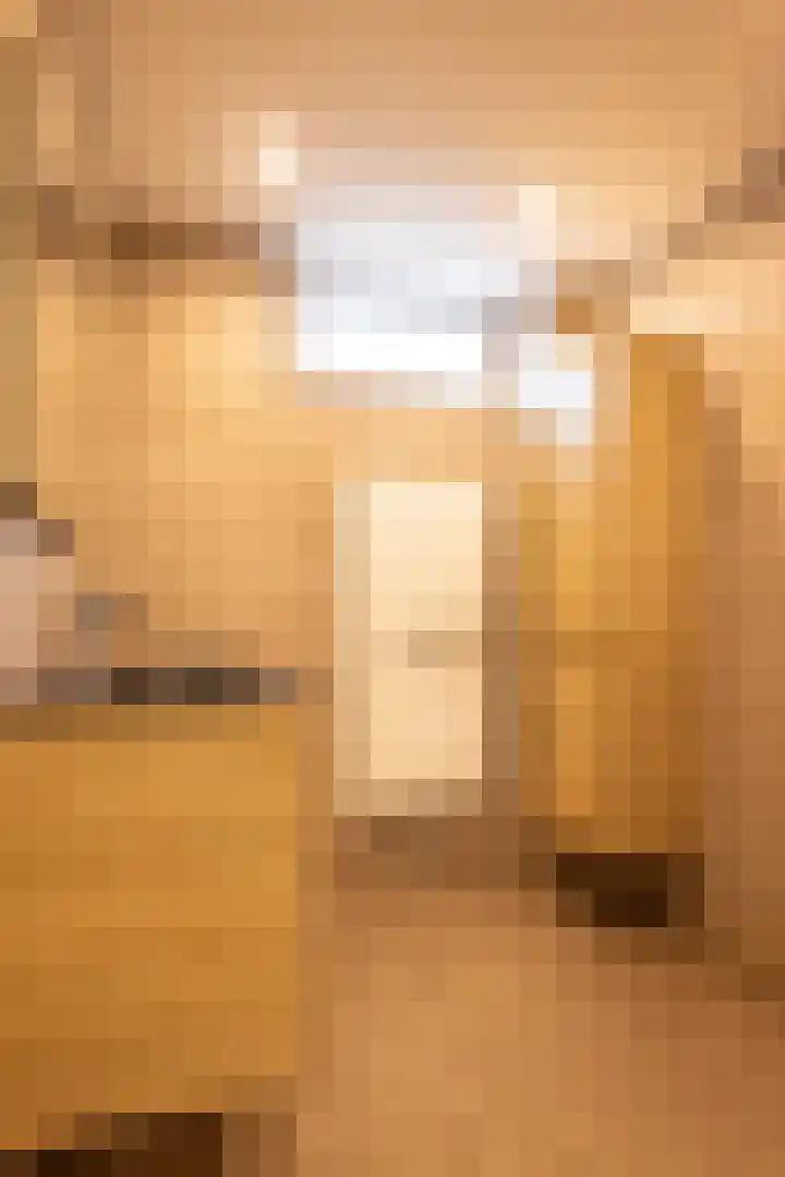 Smal Weide 1 Eygelshoven thumbnail 22