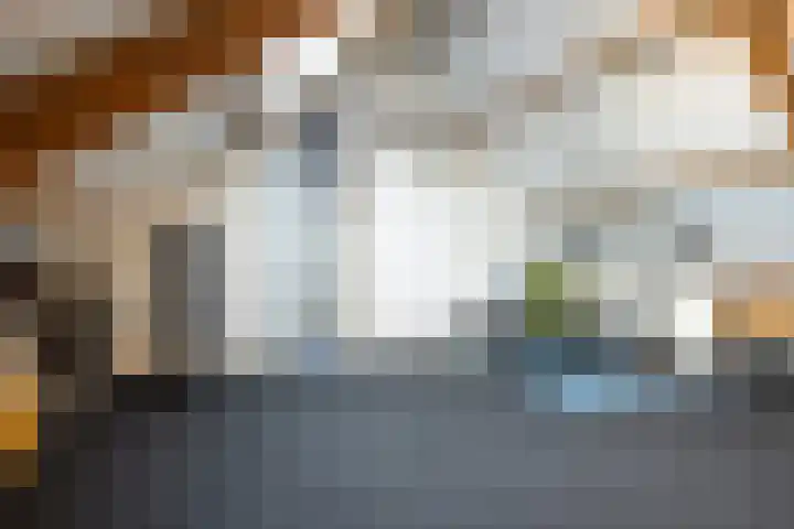 Smal Weide 1 Eygelshoven thumbnail 26
