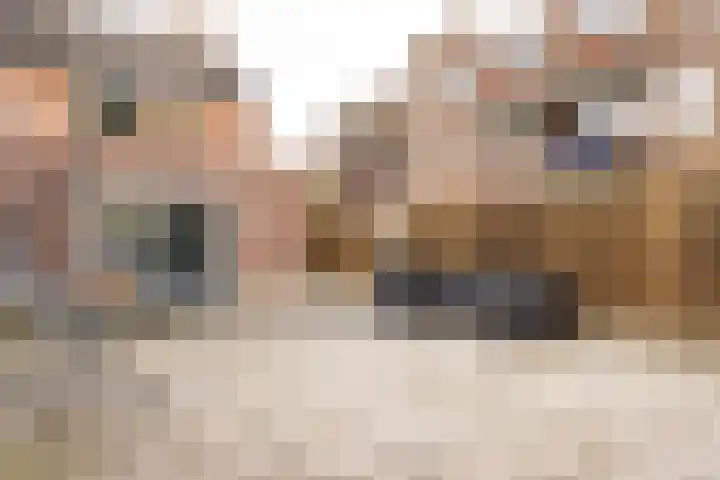 Smal Weide 1 Eygelshoven thumbnail 29