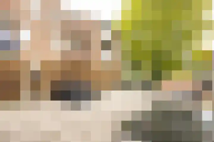 Smal Weide 1 Eygelshoven thumbnail 32