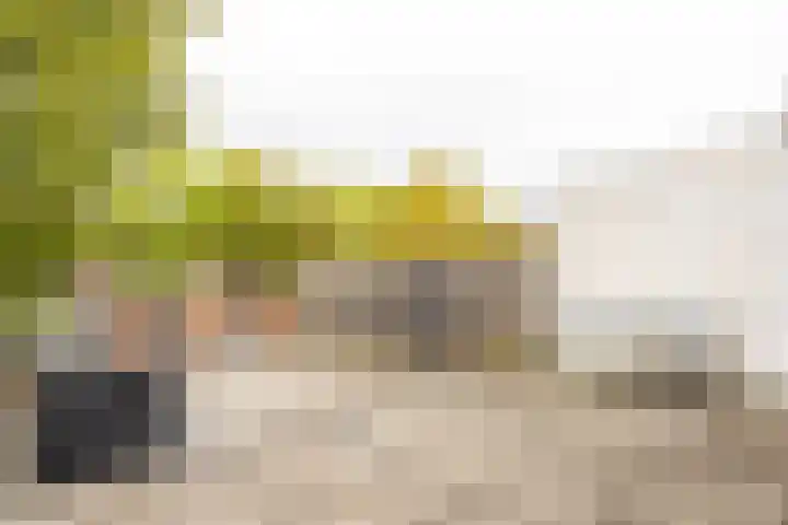 Smal Weide 1 Eygelshoven thumbnail 33