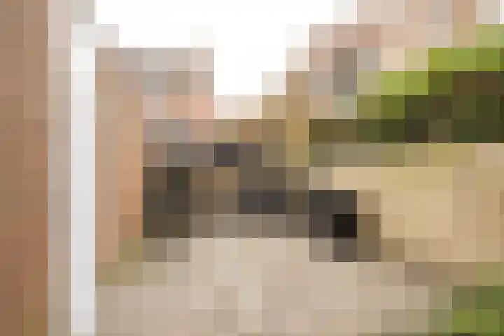 Smal Weide 1 Eygelshoven thumbnail 34
