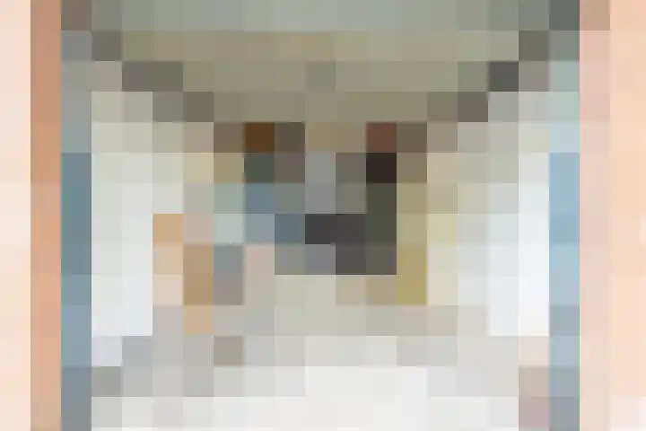 Smal Weide 1 Eygelshoven thumbnail 35