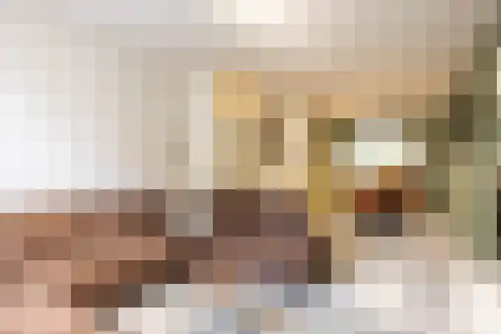 Smal Weide 1 Eygelshoven thumbnail 7