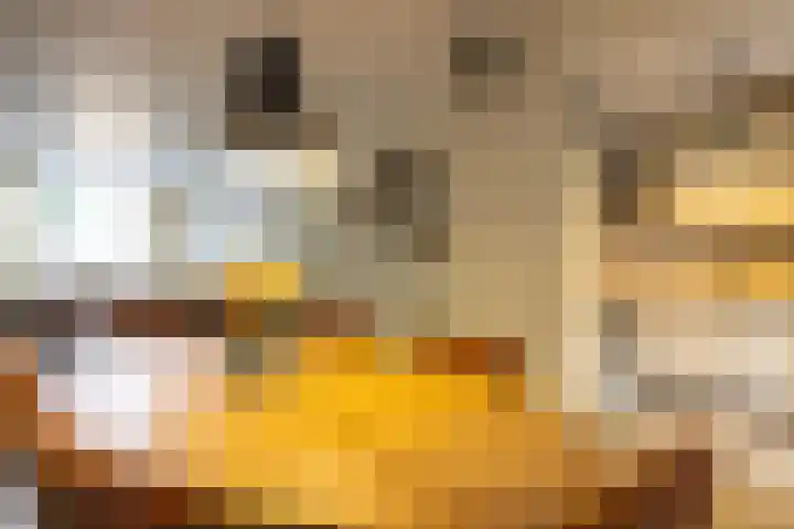 Smal Weide 1 Eygelshoven thumbnail 9