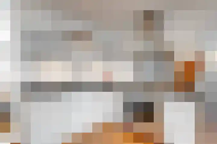 Smal Weide 32 Eygelshoven thumbnail 13