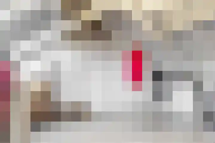 Smal Weide 32 Eygelshoven thumbnail 27