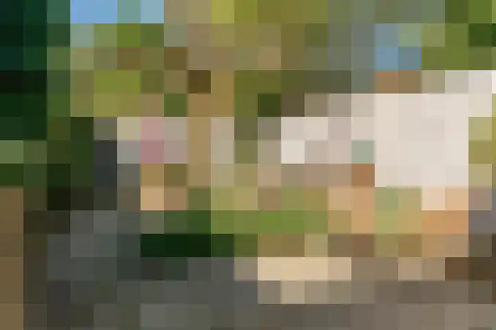 Smal Weide 32 Eygelshoven thumbnail 29