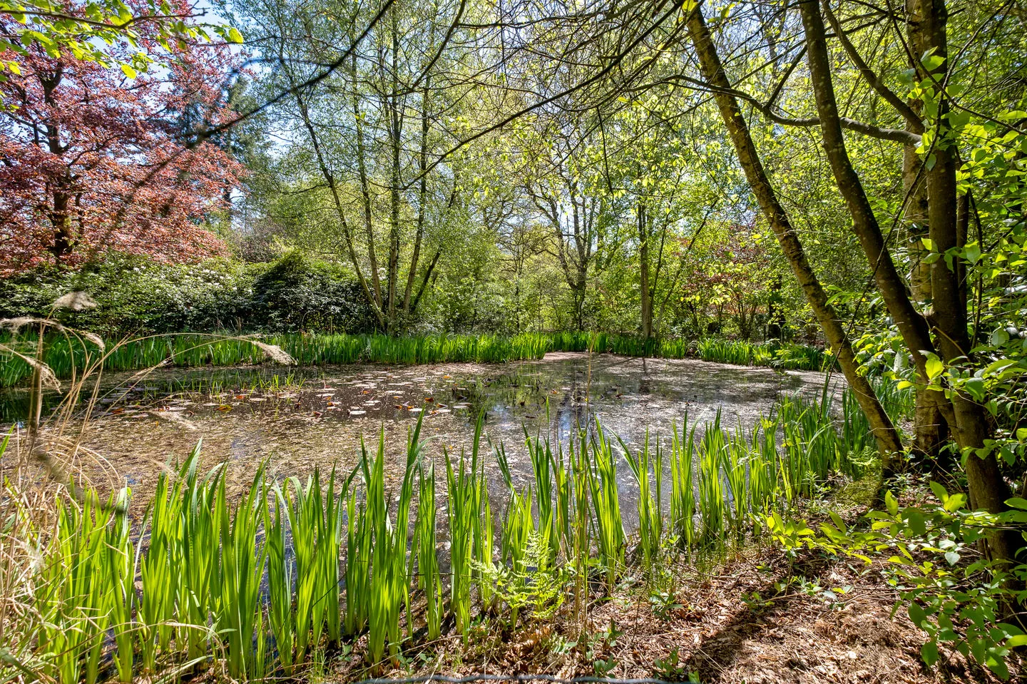 Smalbroeksweg 6 Elp thumbnail 56