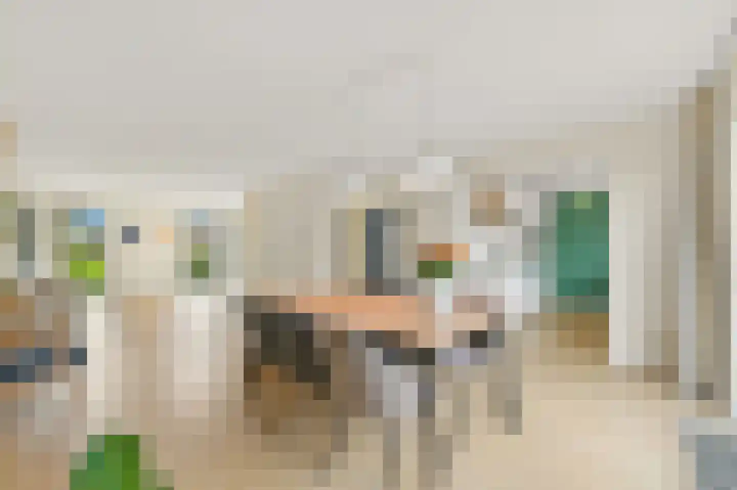 Smaldelerstraat 1 Delfgauw thumbnail 13