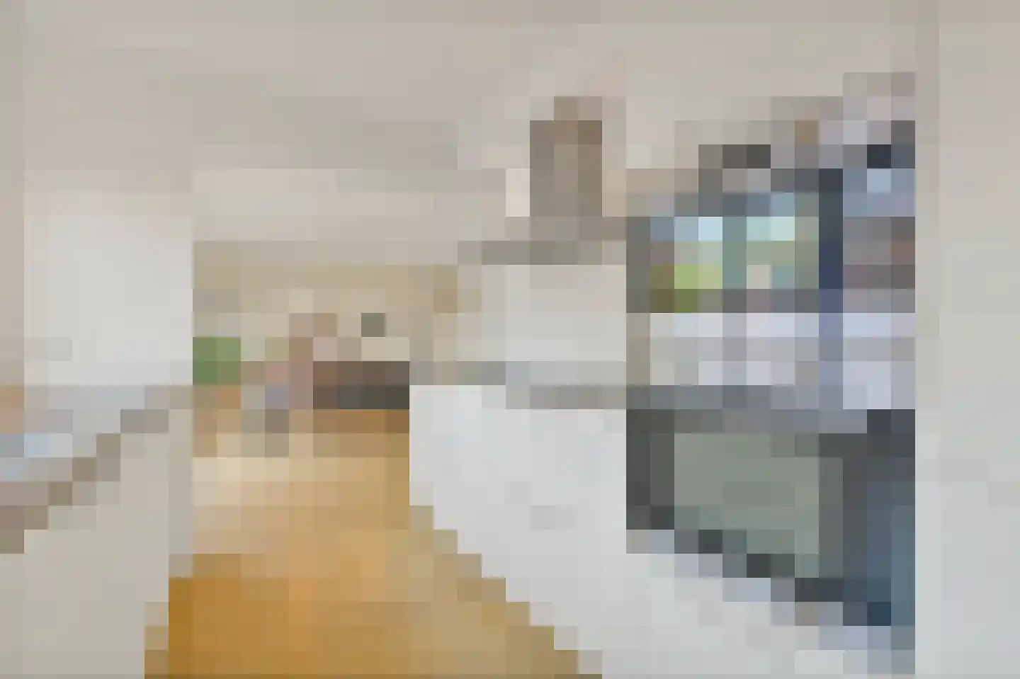 Smaldelerstraat 1 Delfgauw thumbnail 15