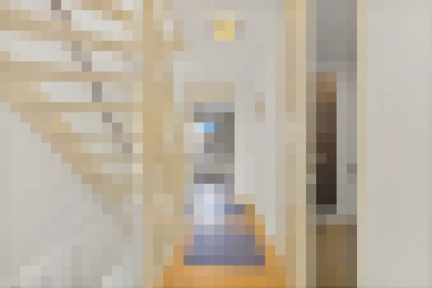 Smaldelerstraat 1 Delfgauw thumbnail 19