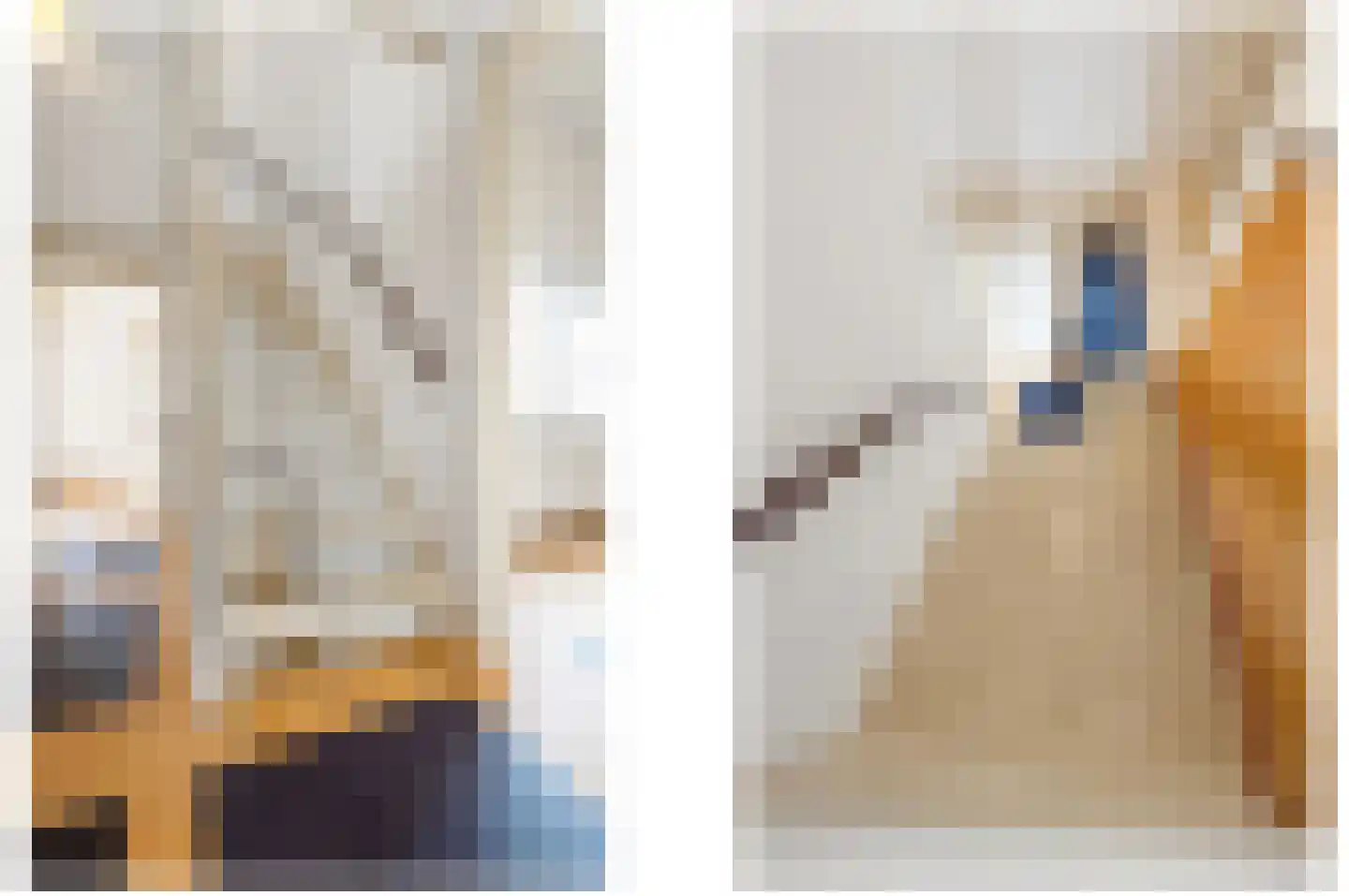 Smaldelerstraat 1 Delfgauw thumbnail 33