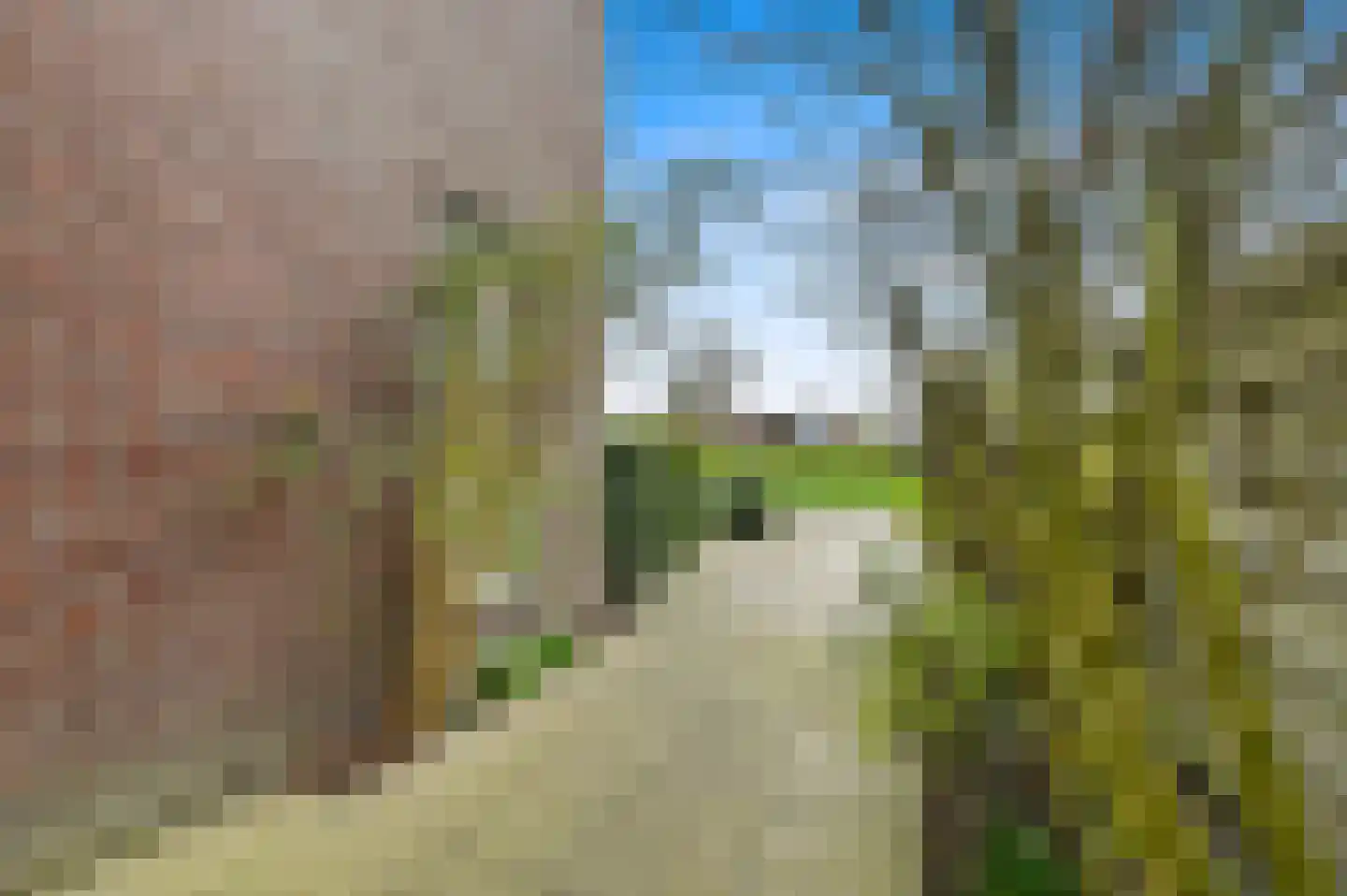 Smaldelerstraat 1 Delfgauw thumbnail 5