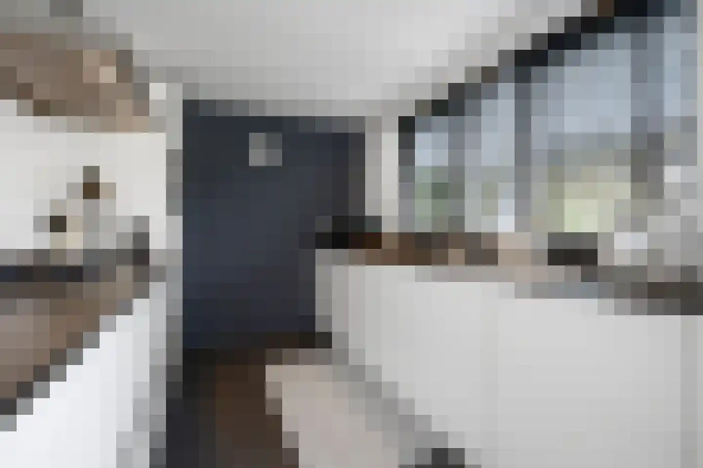 Smaldelerstraat 5 Delfgauw thumbnail 31