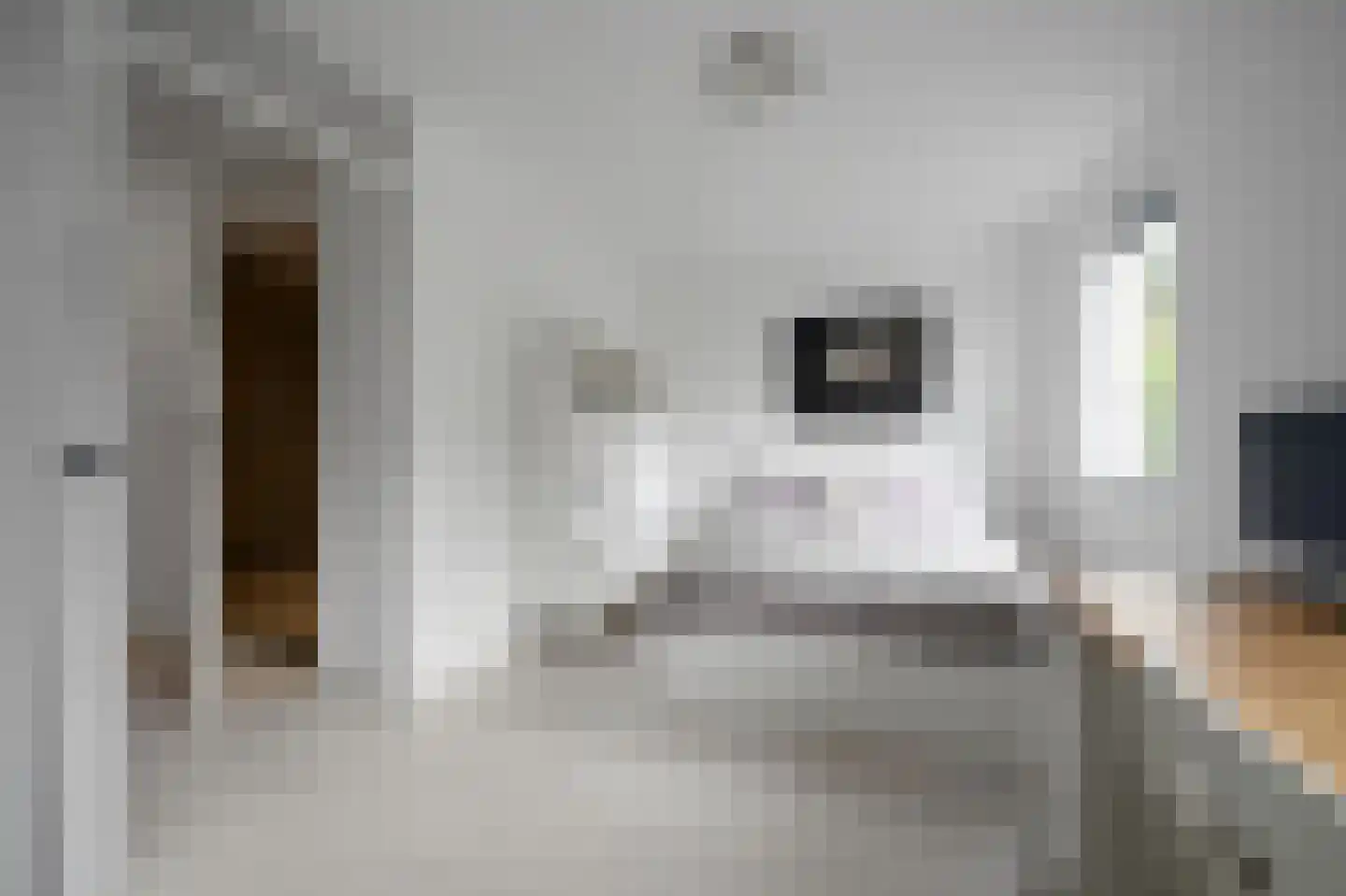 Smaldelerstraat 5 Delfgauw thumbnail 36