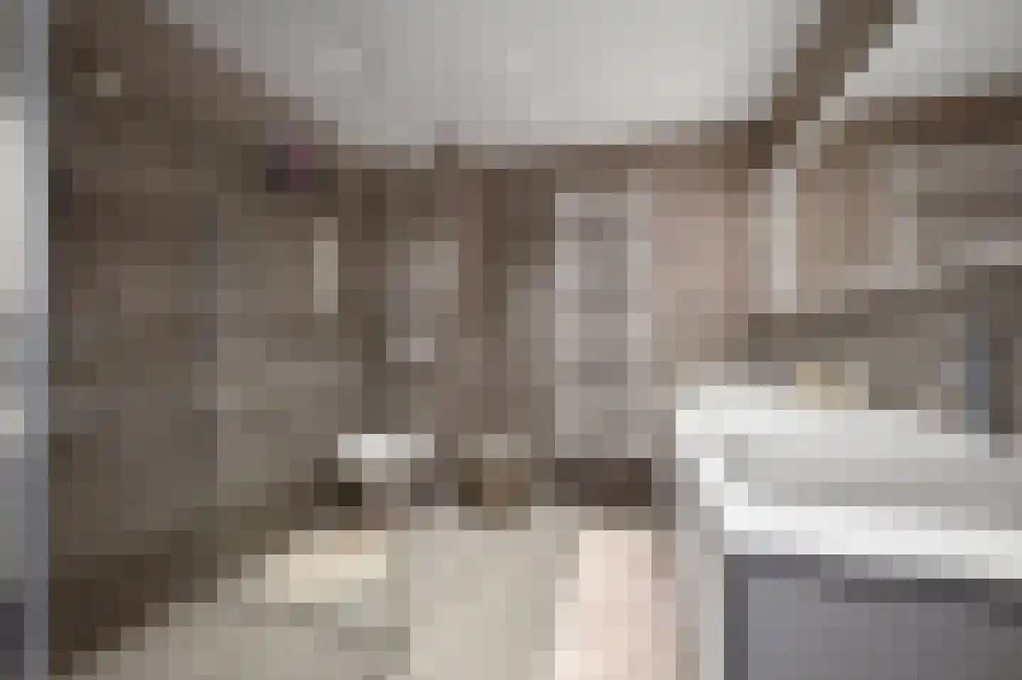 Smaldelerstraat 5 Delfgauw thumbnail 38