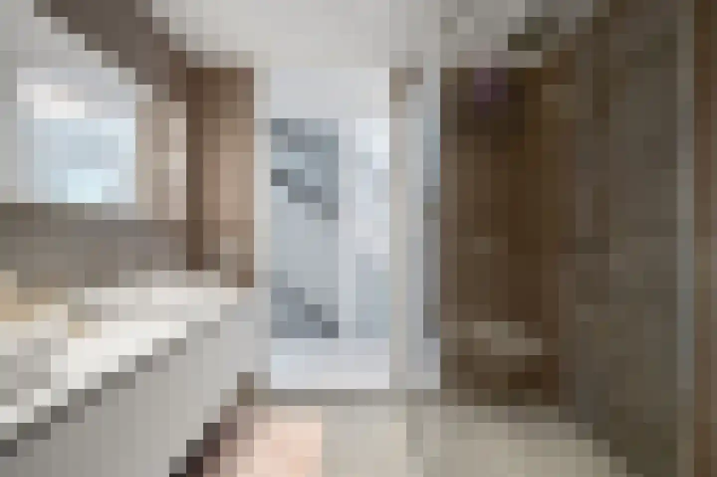 Smaldelerstraat 5 Delfgauw thumbnail 39