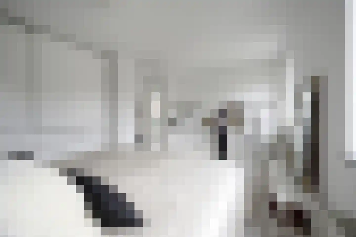 Smaldelerstraat 5 Delfgauw thumbnail 42