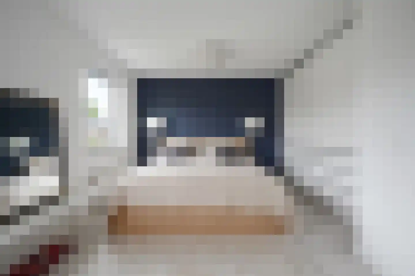 Smaldelerstraat 5 Delfgauw thumbnail 43