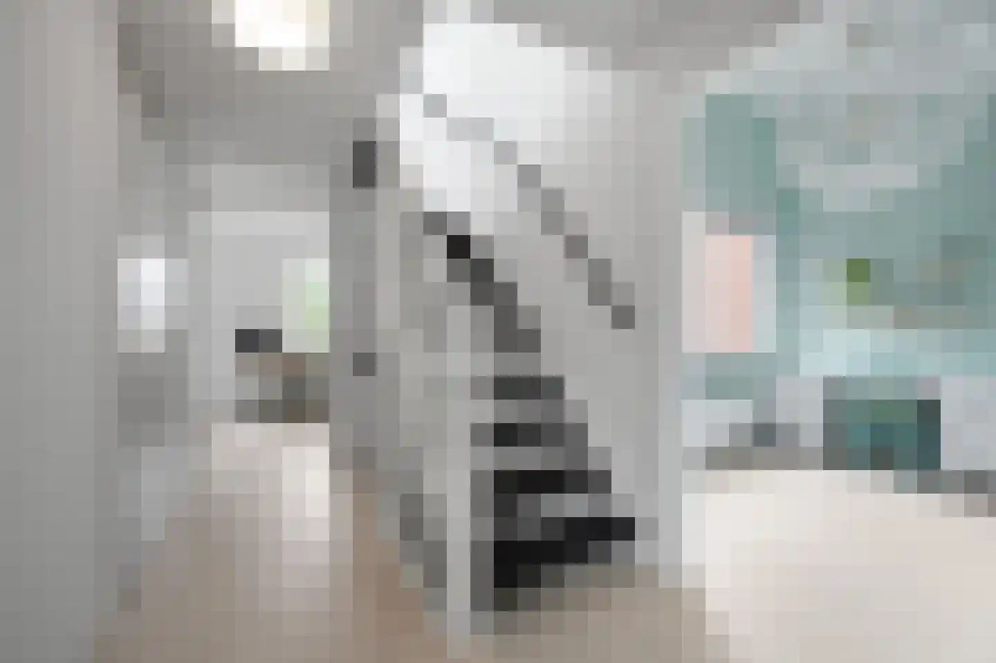 Smaldelerstraat 5 Delfgauw thumbnail 44