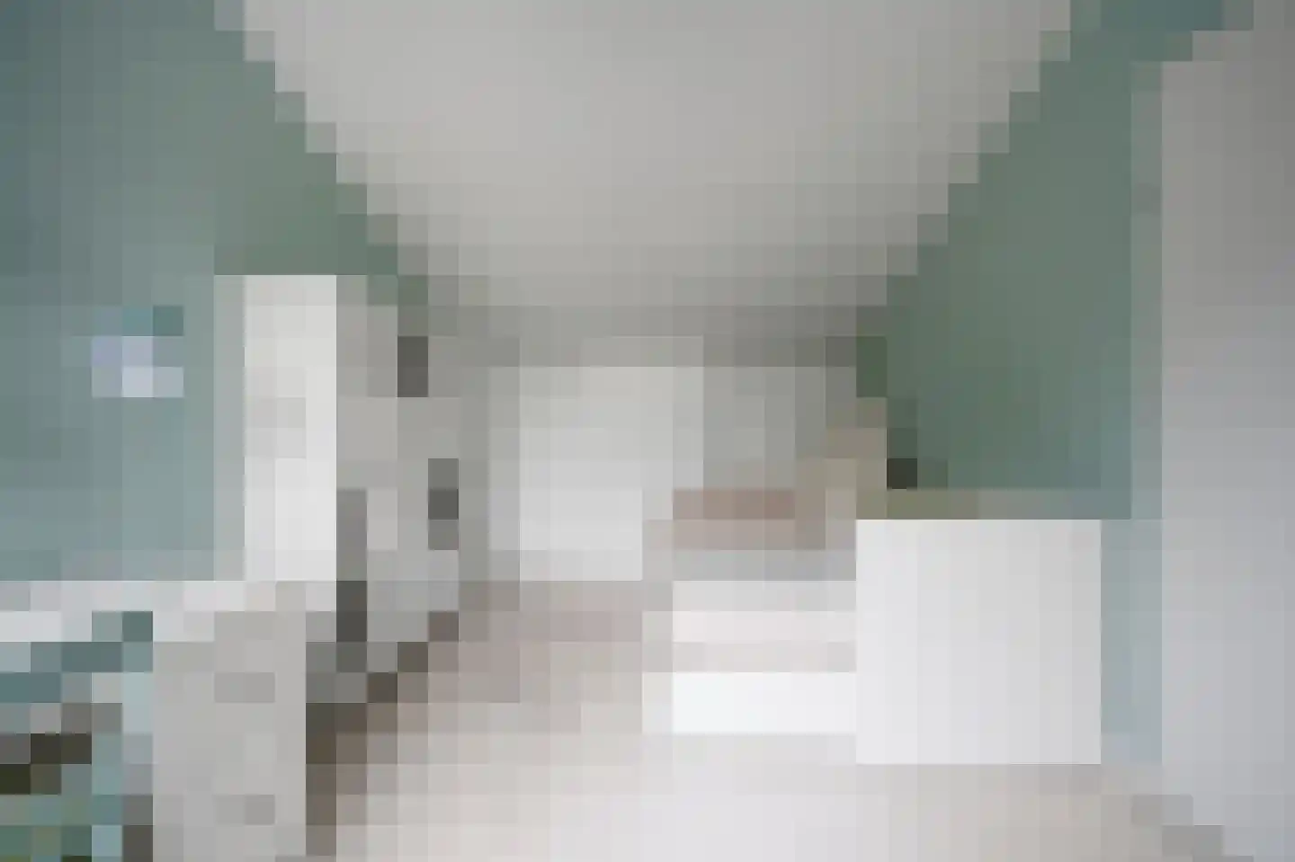 Smaldelerstraat 5 Delfgauw thumbnail 45