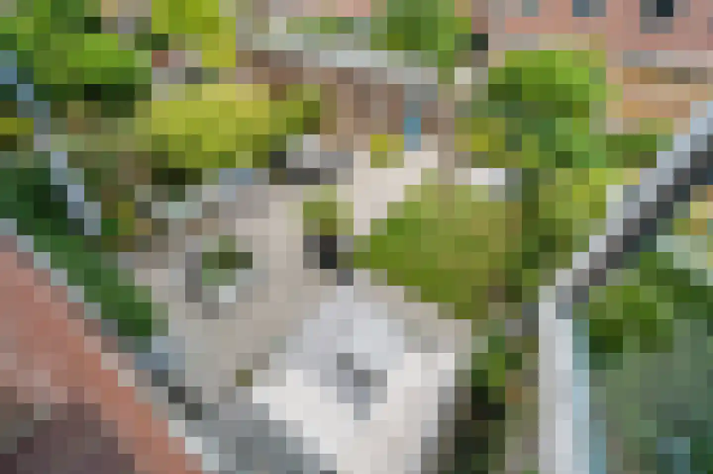 Smaldelerstraat 5 Delfgauw thumbnail 5
