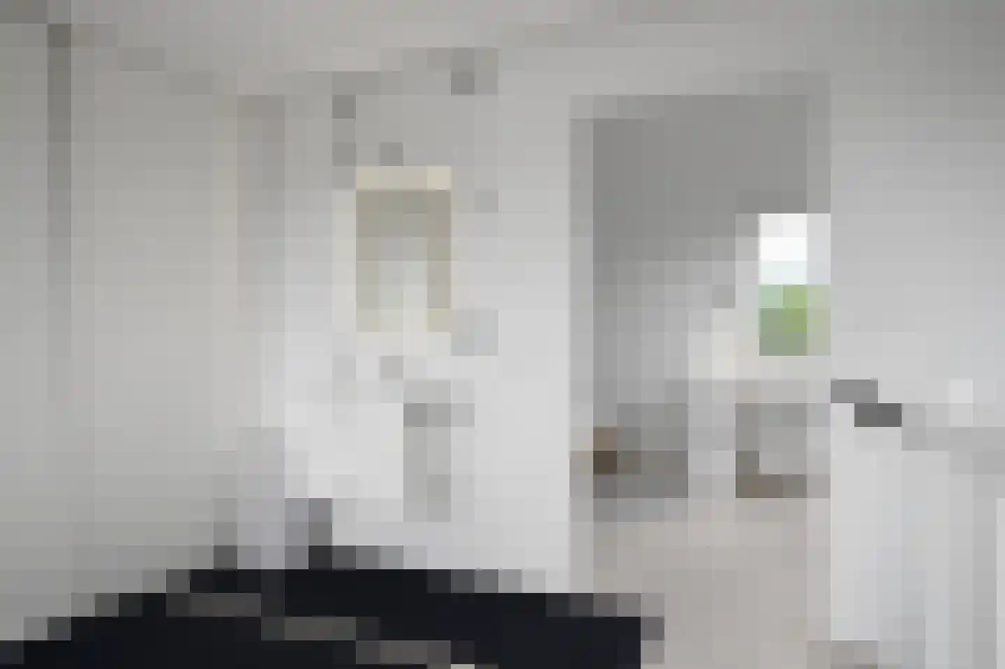 Smaldelerstraat 5 Delfgauw thumbnail 52