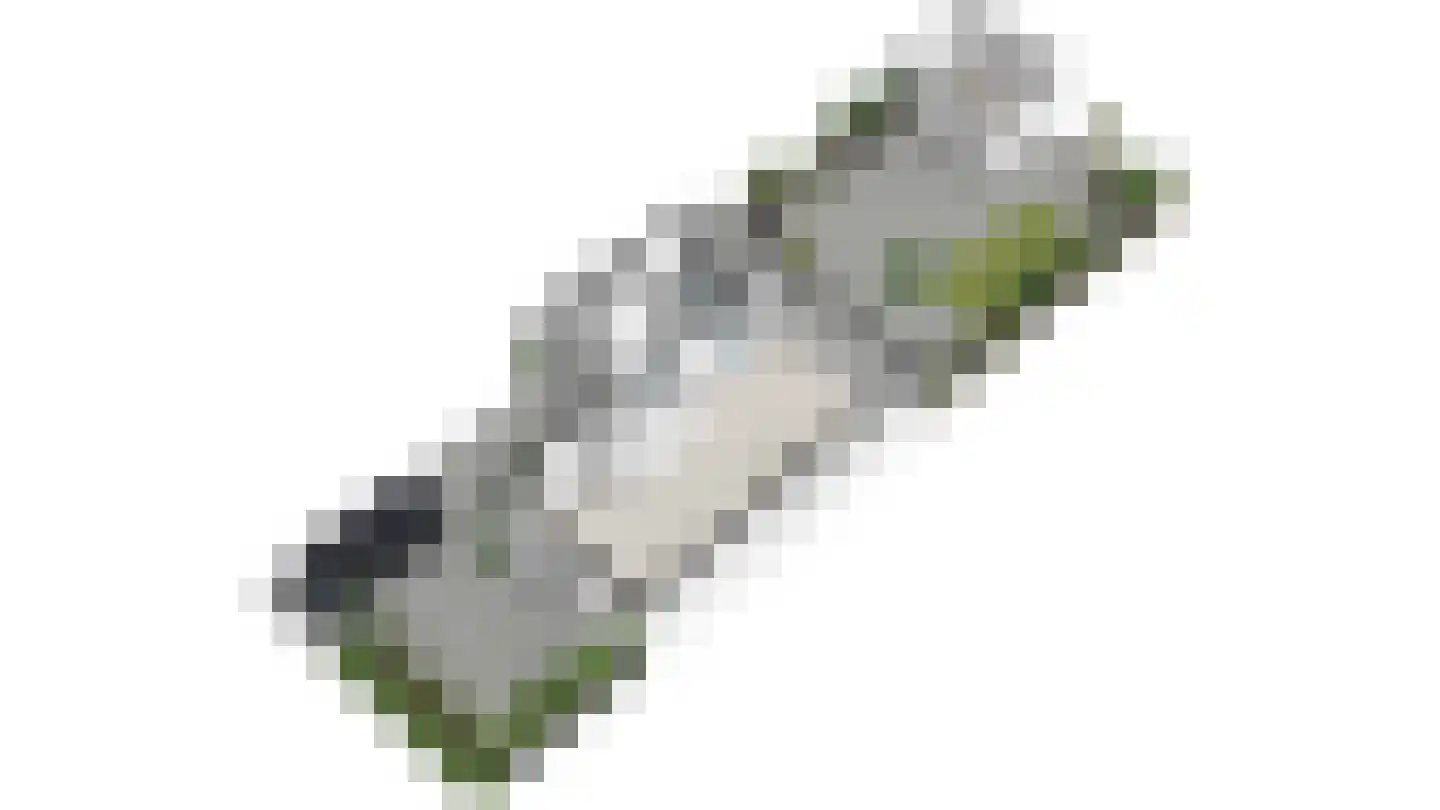 Smaldelerstraat 5 Delfgauw thumbnail 68