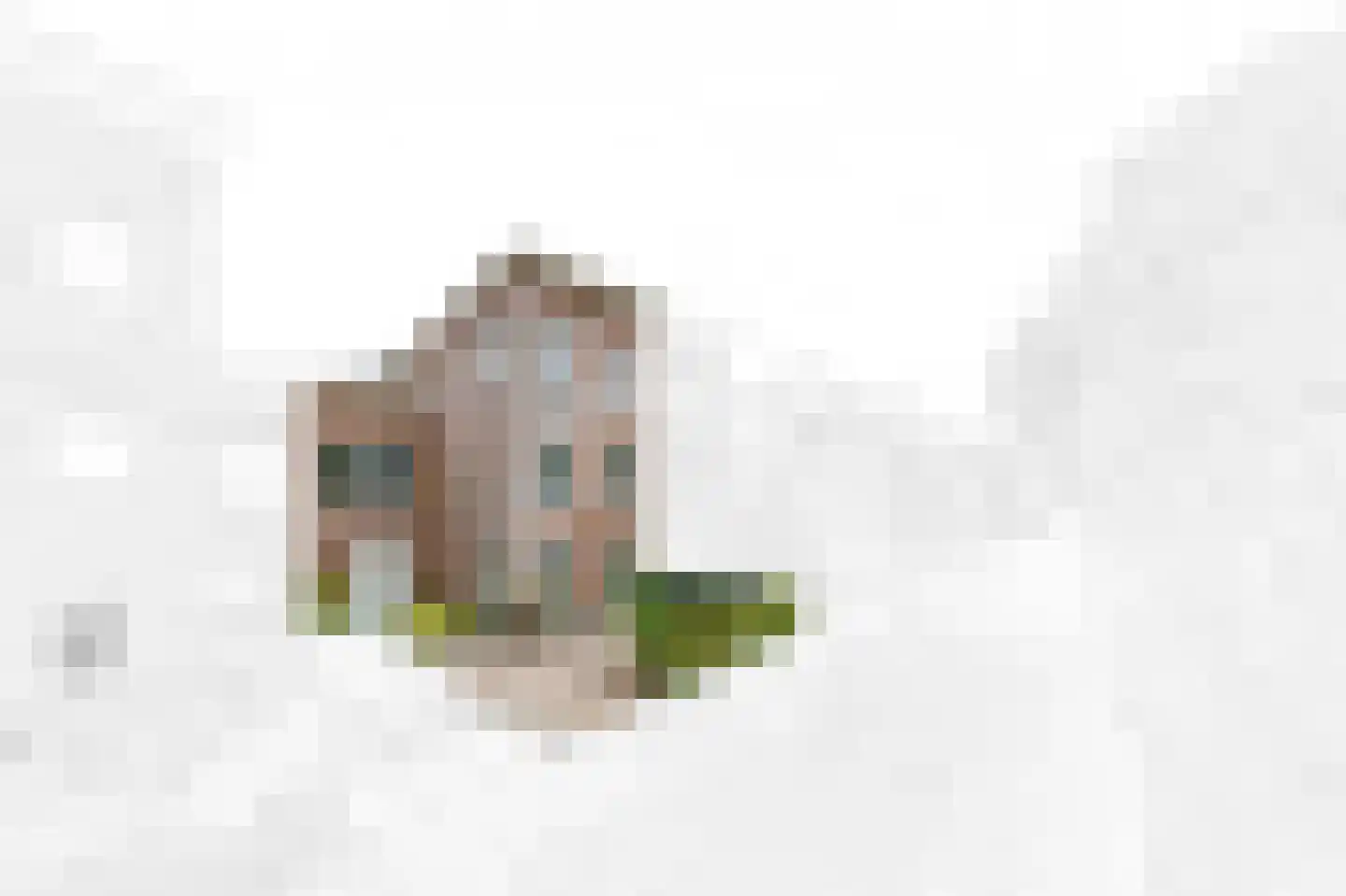 Smaldelerstraat 5 Delfgauw thumbnail 7