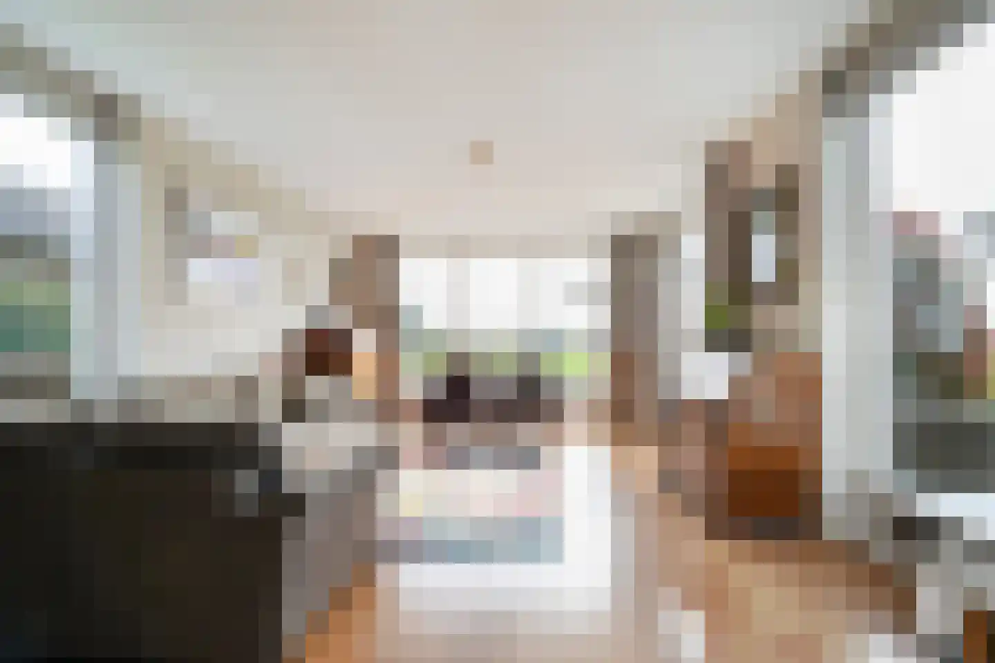 Smaldersestraat 29 Liempde thumbnail 22