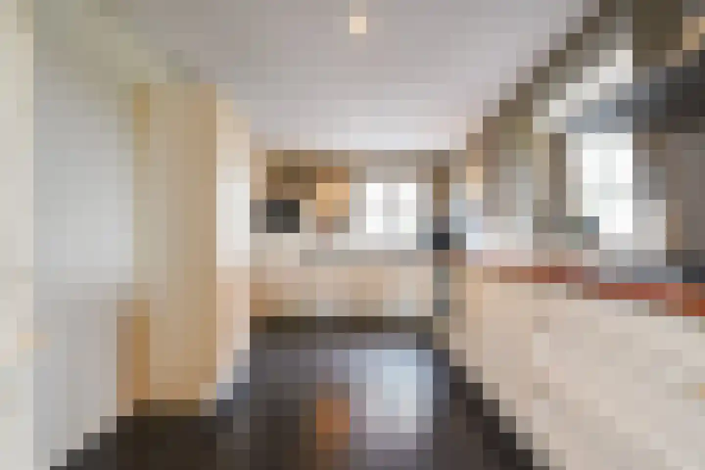 Smaldersestraat 29 Liempde thumbnail 24