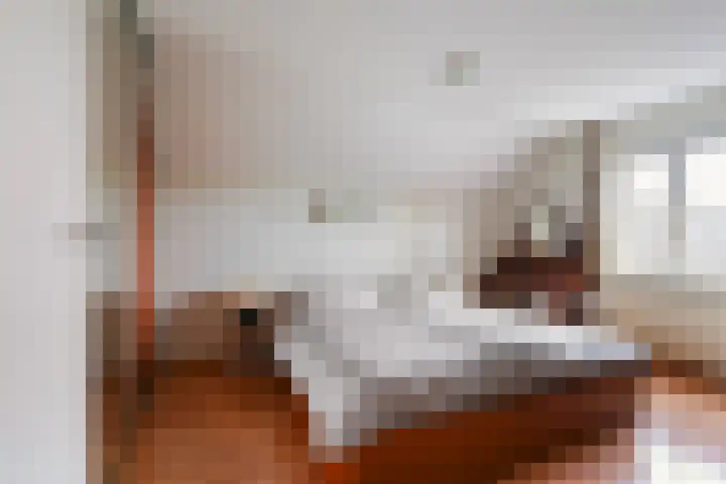 Smaldersestraat 29 Liempde thumbnail 42