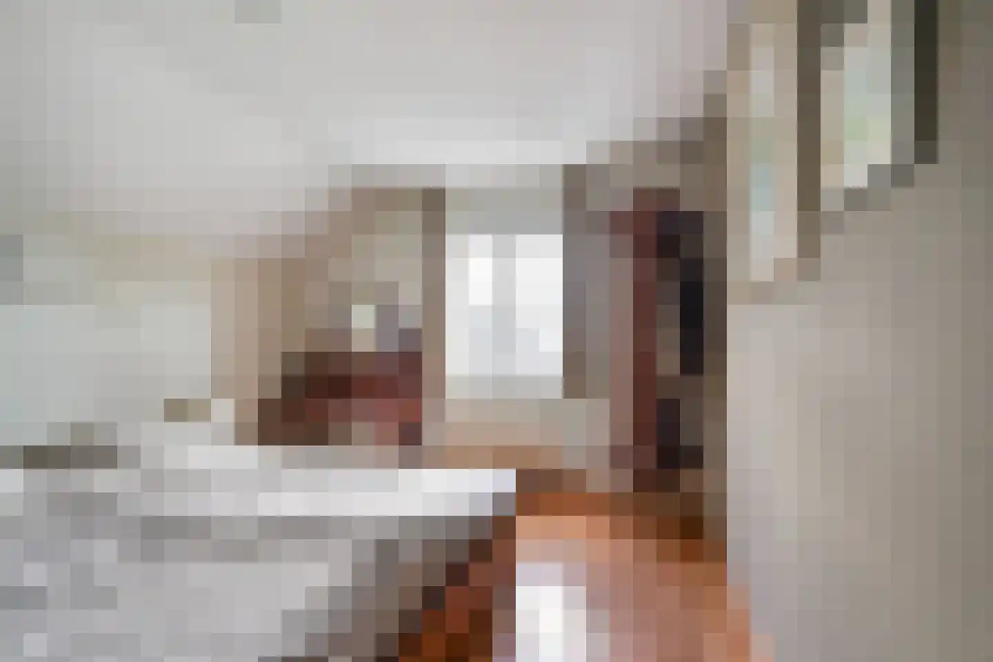 Smaldersestraat 29 Liempde thumbnail 43