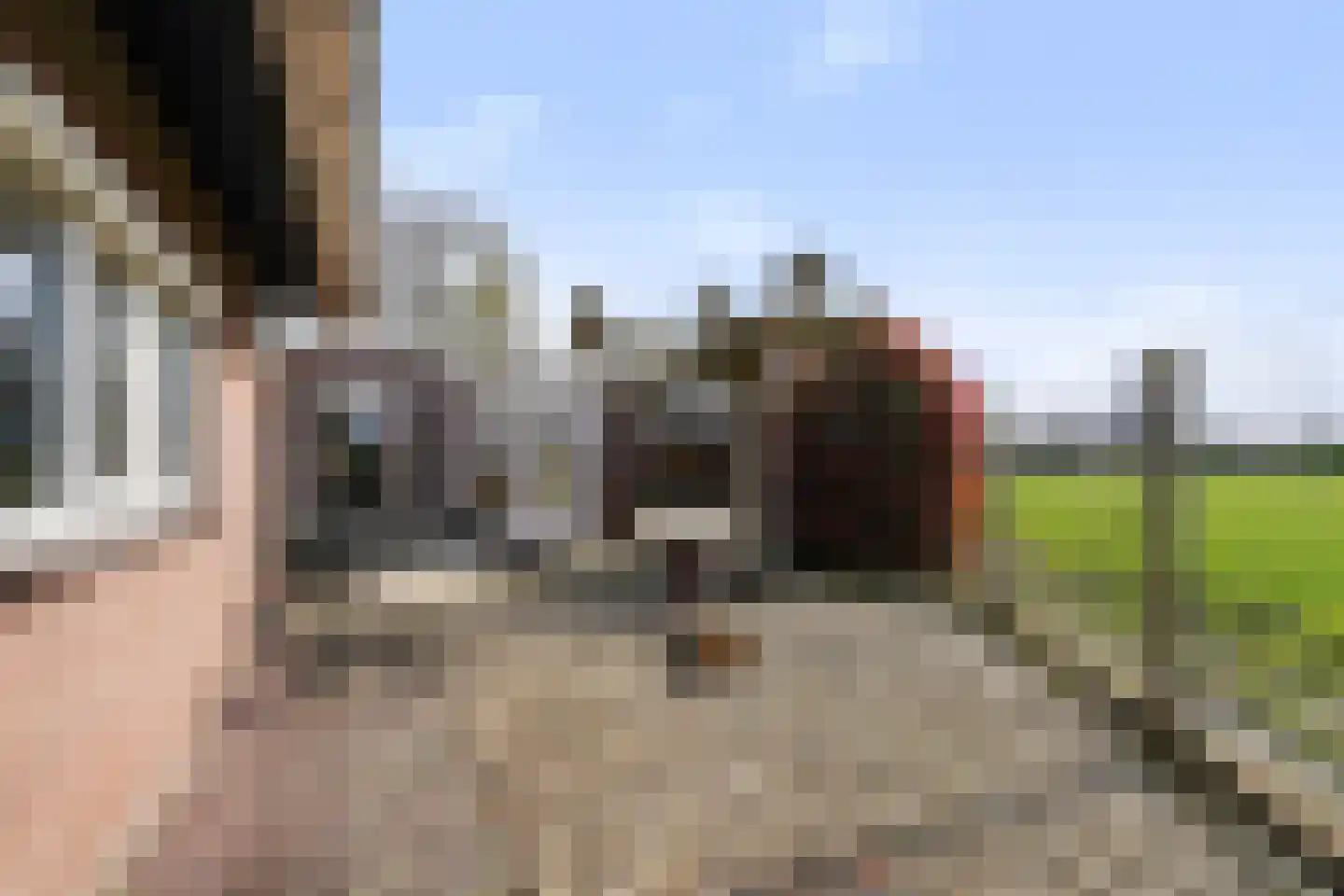 Smaldersestraat 29 Liempde thumbnail 59