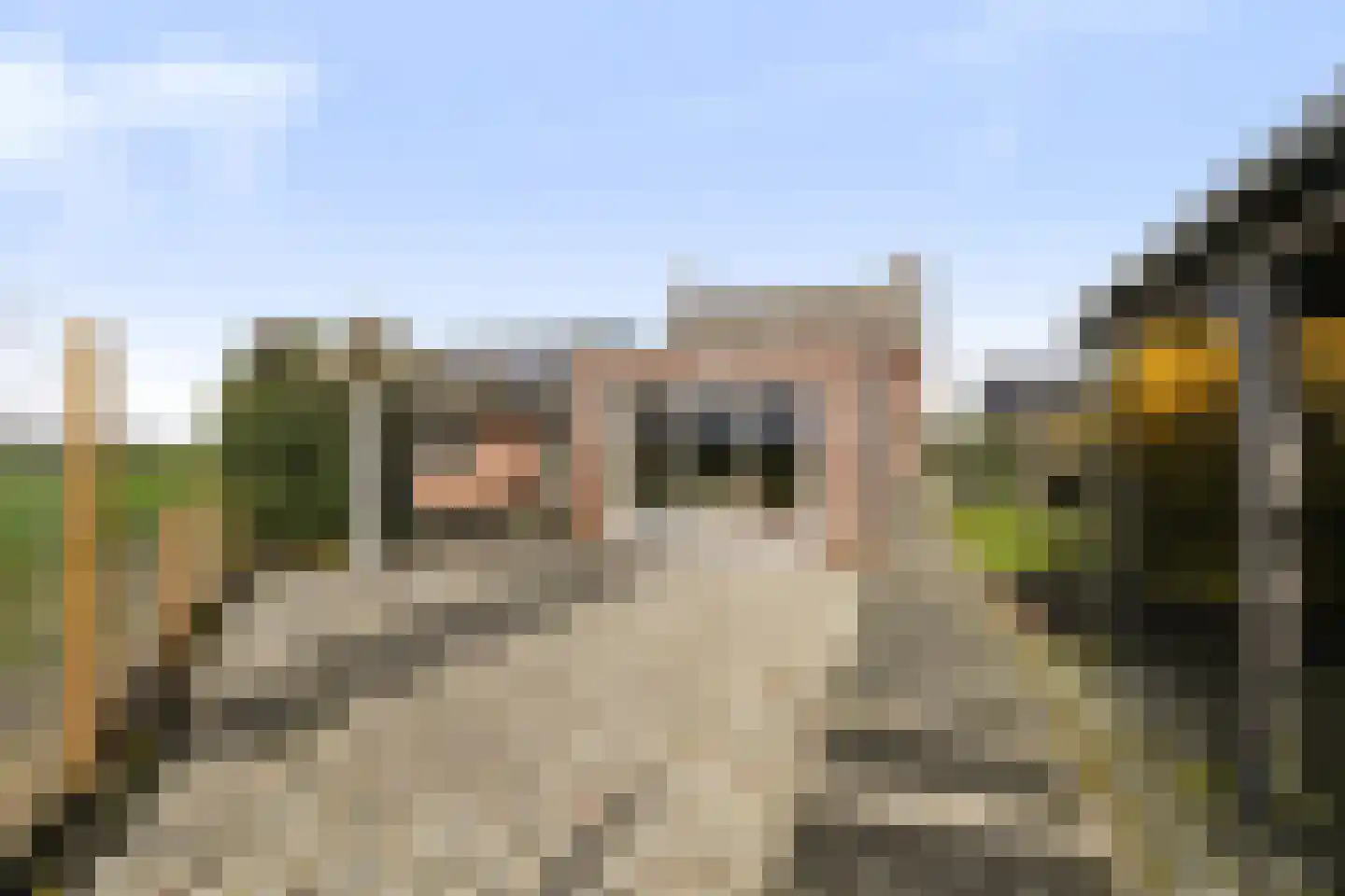 Smaldersestraat 29 Liempde thumbnail 61