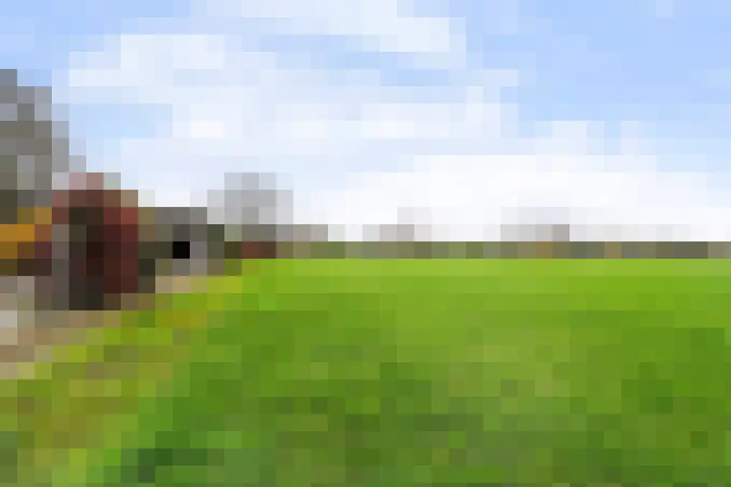 Smaldersestraat 29 Liempde thumbnail 67